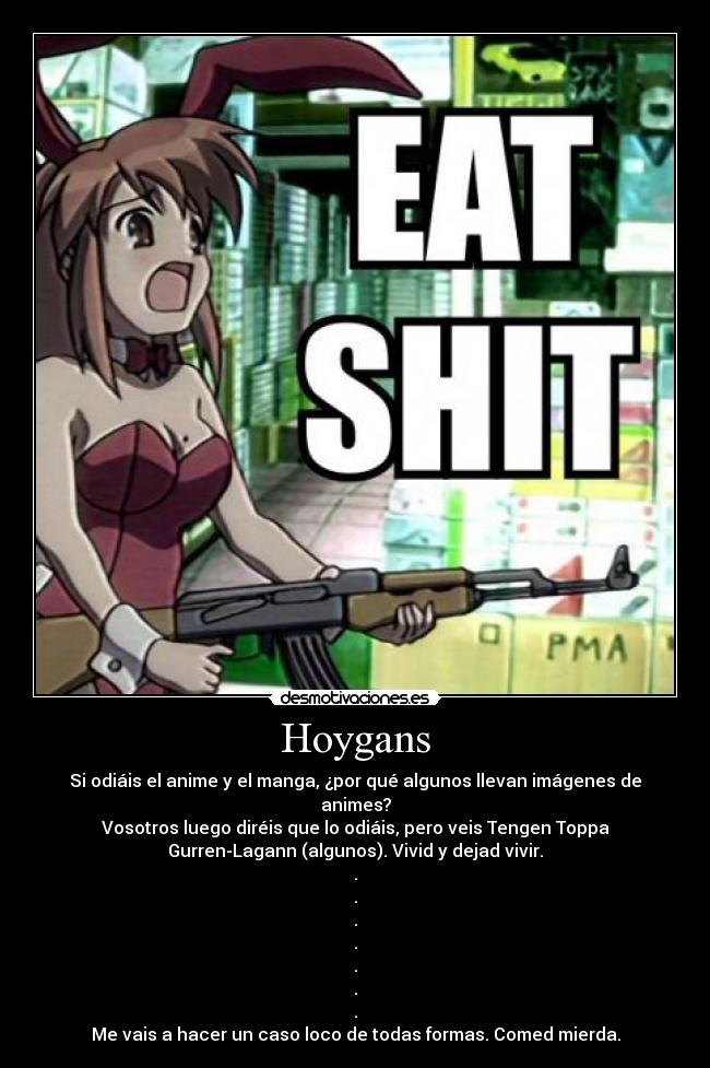 Hoygans - 