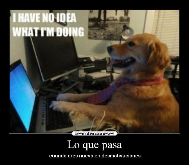 Lo que pasa - cuando eres nuevo en desmotivaciones