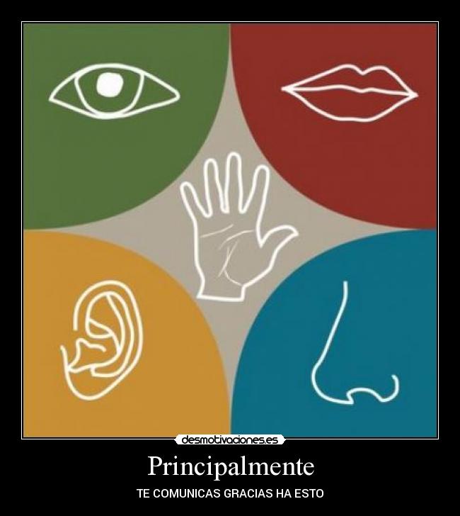 Principalmente -