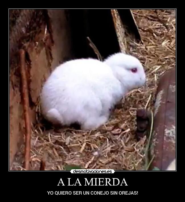 A LA MIERDA - YO QUIERO SER UN CONEJO SIN OREJAS!