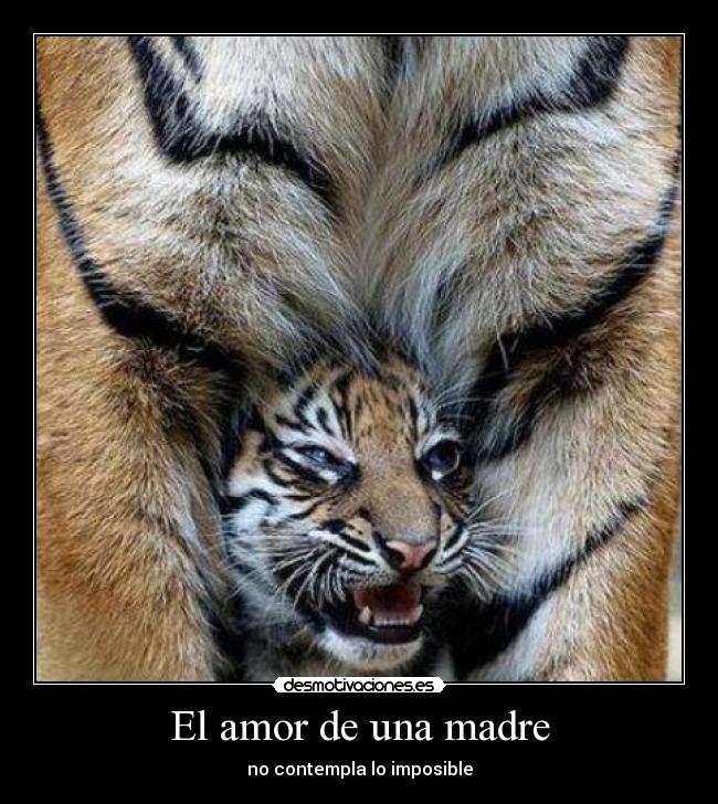 El amor de una madre - no contempla lo imposible
