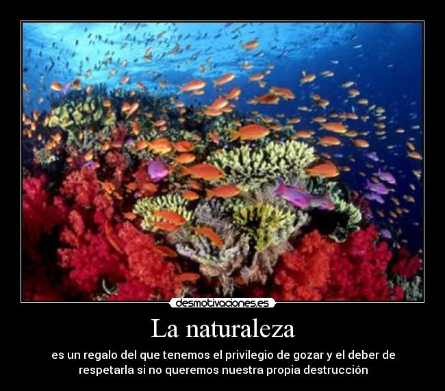 La naturaleza - 