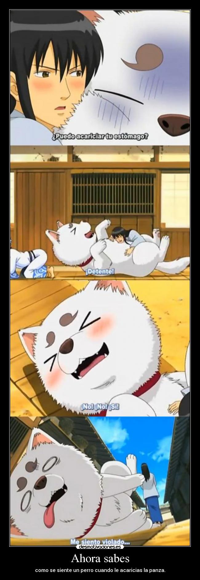 Ahora sabes - como se siente un perro cuando le acaricias la panza.