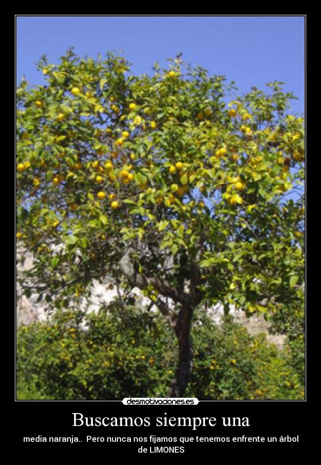 Buscamos siempre una -