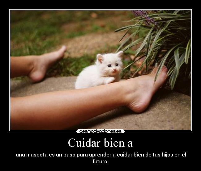 Cuidar bien a -