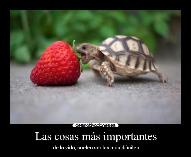 Las cosas más importantes -