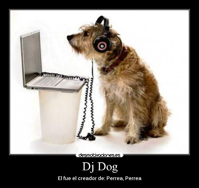 Dj Dog - 