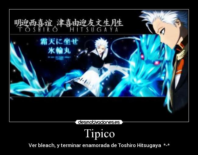 Tipico - Ver bleach, y terminar enamorada de Toshiro Hitsugaya  *-*