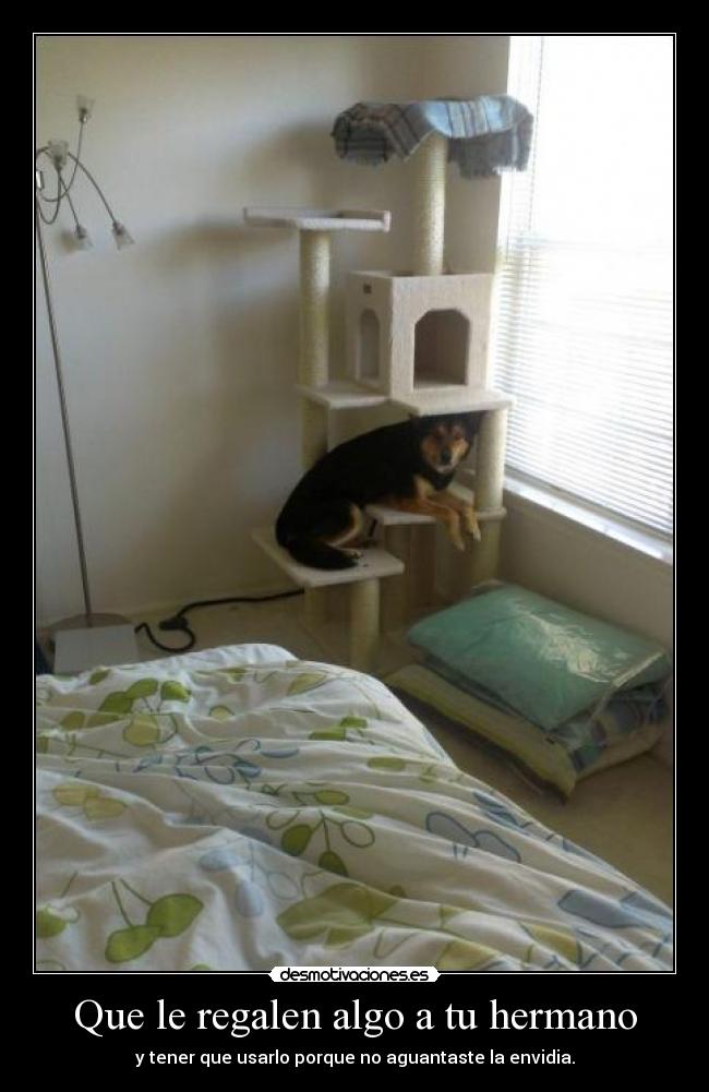 carteles c2dk ewe odio los carteles los que ngo que poner tal cosa desmotivaciones