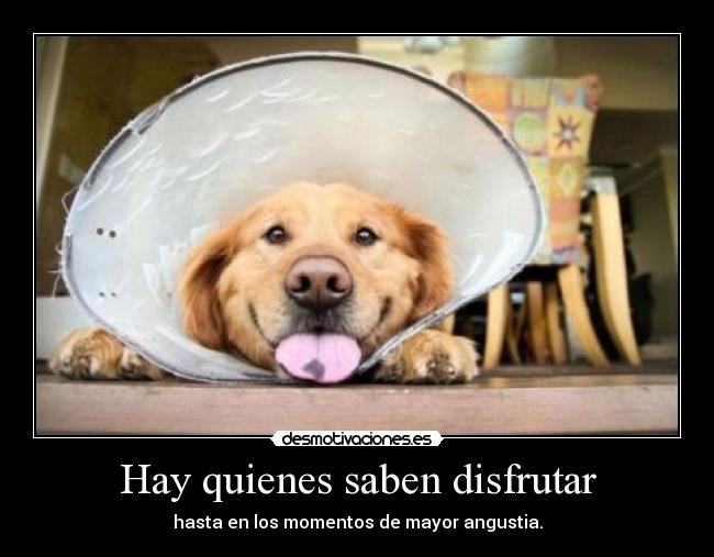 Hay quienes saben disfrutar - 