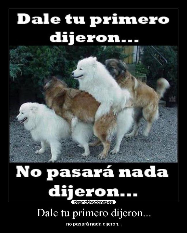 carteles perros pasara nada dijeron coger cuatro desmotivaciones