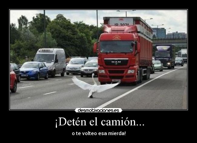¡Detén el camión... -