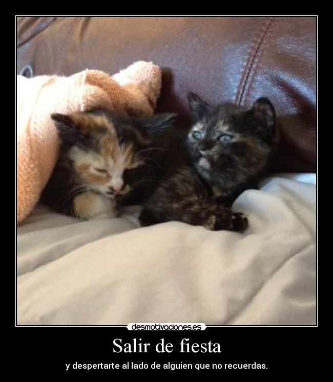 Salir de fiesta - 