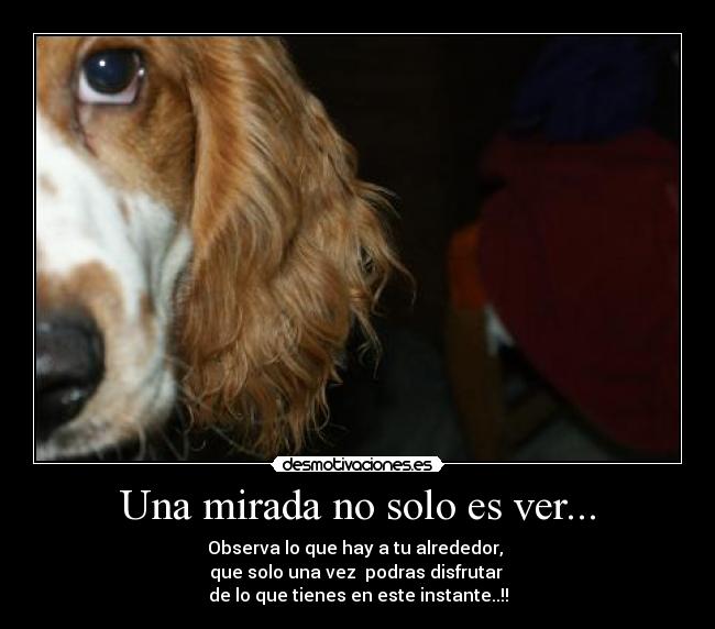 carteles motivacion desmotivaciones