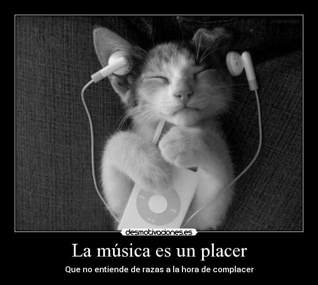 La música es un placer - Que no entiende de razas a la hora de complacer