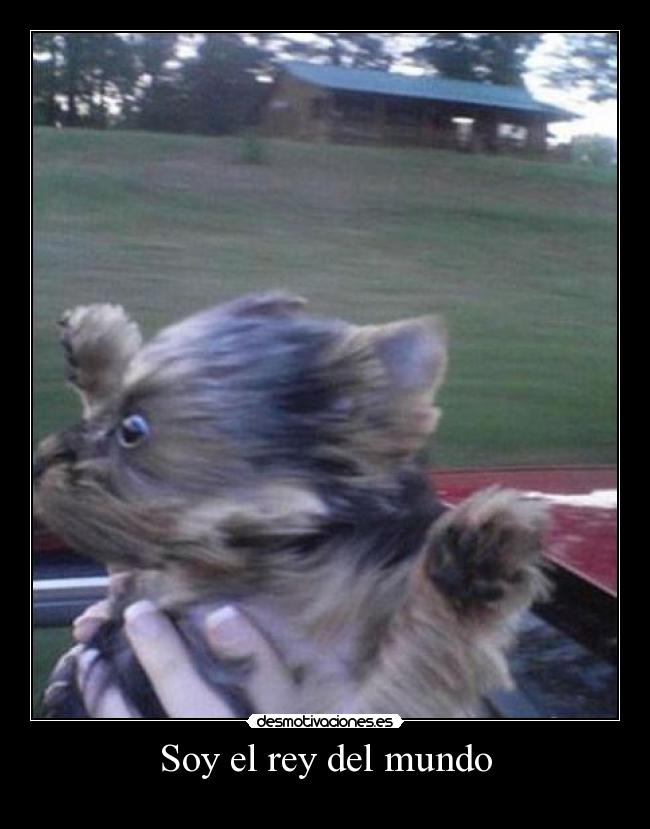 Soy el rey del mundo -
