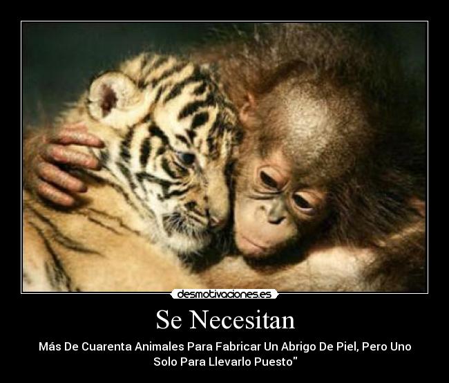 Se Necesitan -