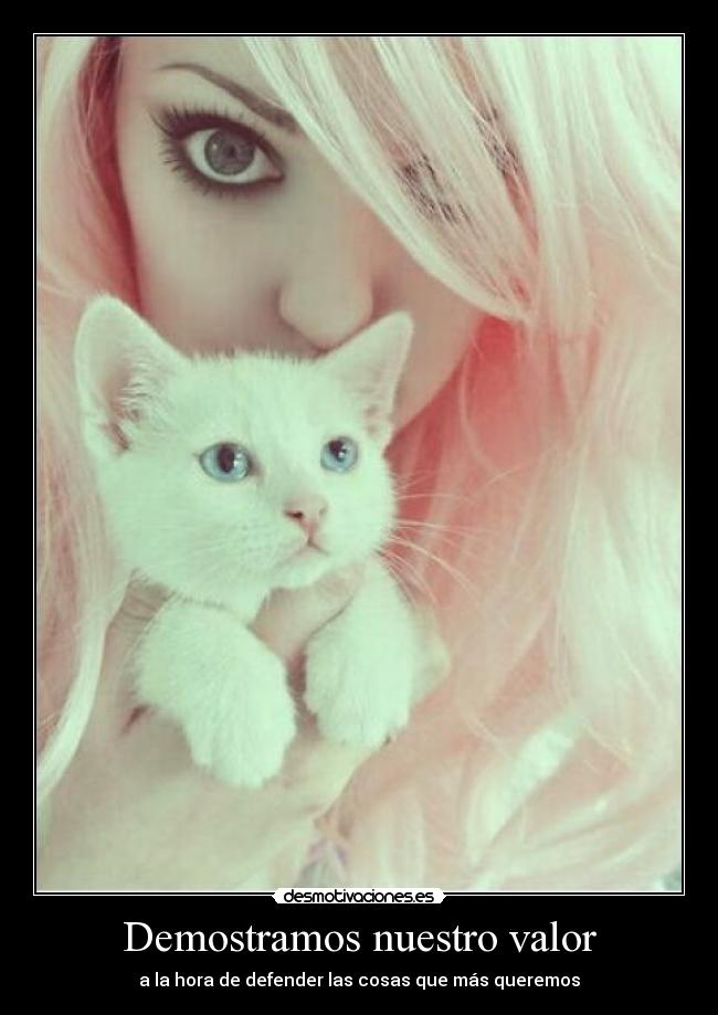 Demostramos nuestro valor - 