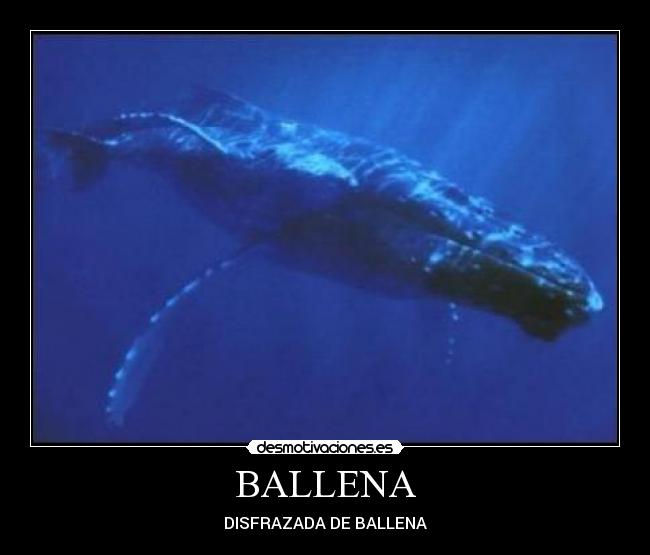BALLENA - DISFRAZADA DE BALLENA