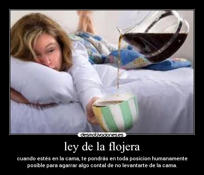 ley de la flojera - 
