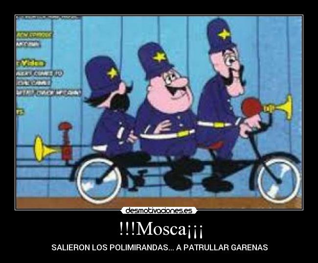 !!!Mosca¡¡¡ - SALIERON LOS POLIMIRANDAS... A PATRULLAR GARENAS