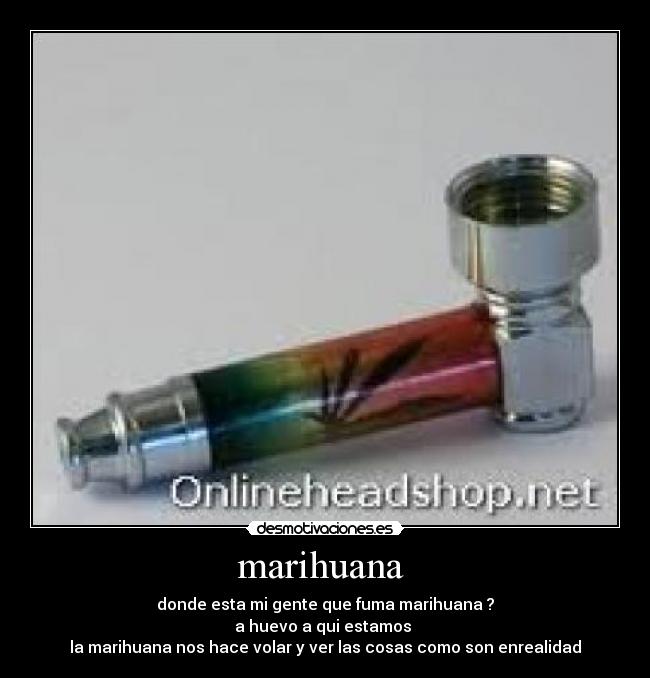 marihuana  - donde esta mi gente que fuma marihuana ?
a huevo a qui estamos 
la marihuana nos hace volar y ver las cosas como son enrealidad