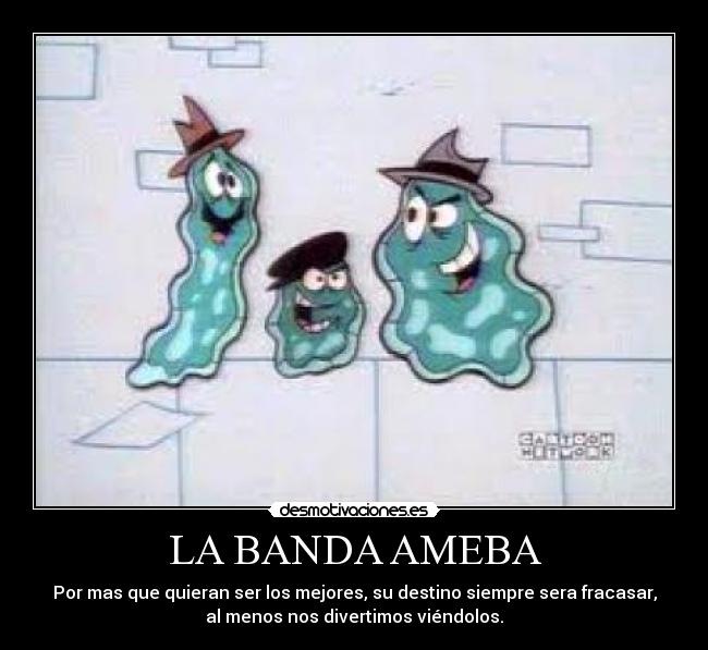 Imágenes y Carteles de AMEBA Desmotivaciones