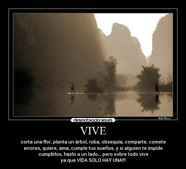 VIVE -