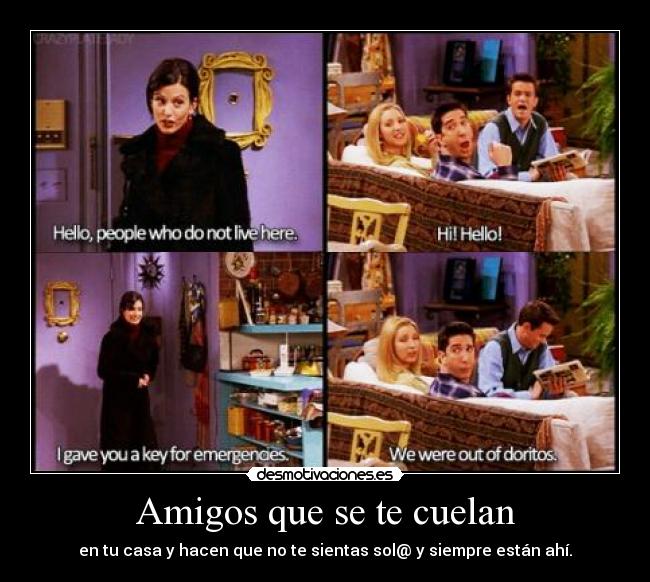 Amigos que se te cuelan - en tu casa y hacen que no te sientas sol@ y siempre están ahí.