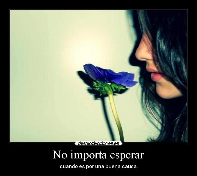 No importa esperar -