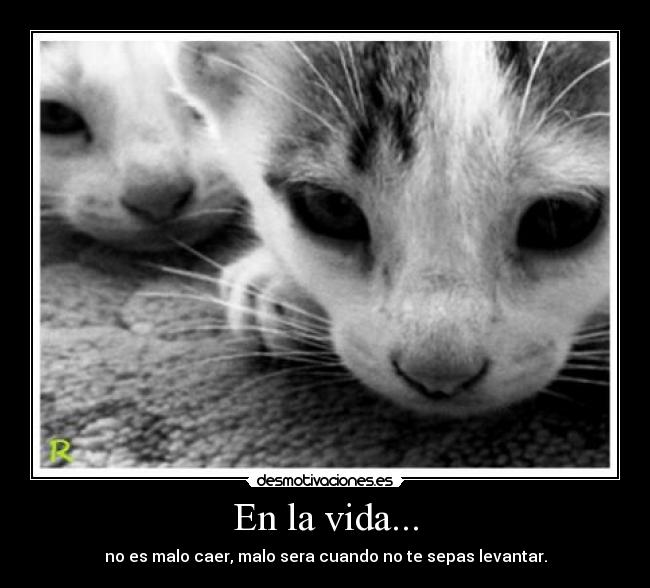 En la vida... - no es malo caer, malo sera cuando no te sepas levantar.