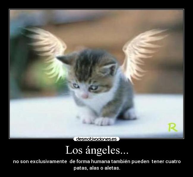 Los ángeles... - no son exclusivamente de forma humana también pueden tener cuatro
patas, alas o aletas.