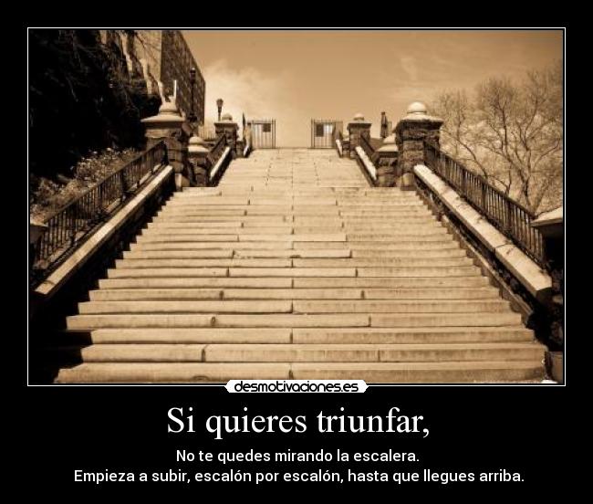 carteles quieres triunfar desmotivaciones