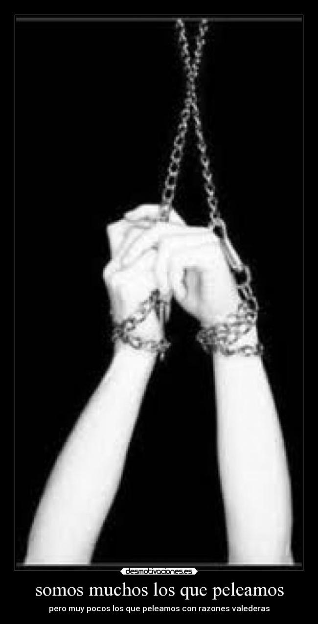 somos muchos los que peleamos -