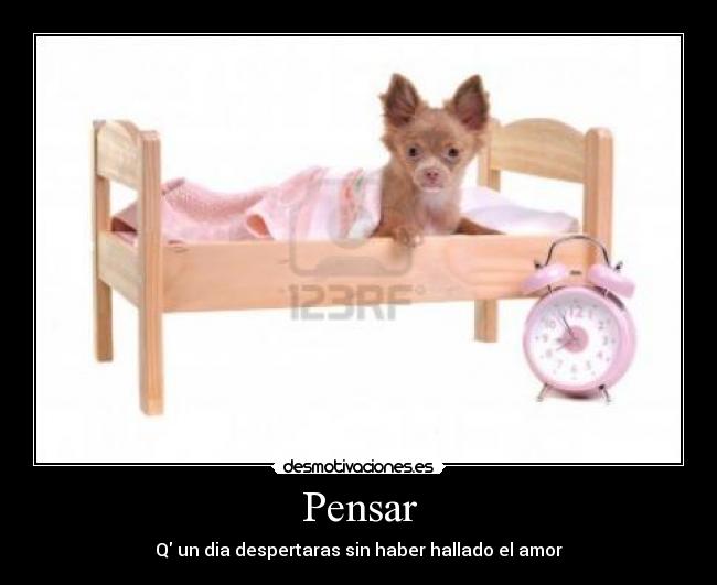 Pensar - 