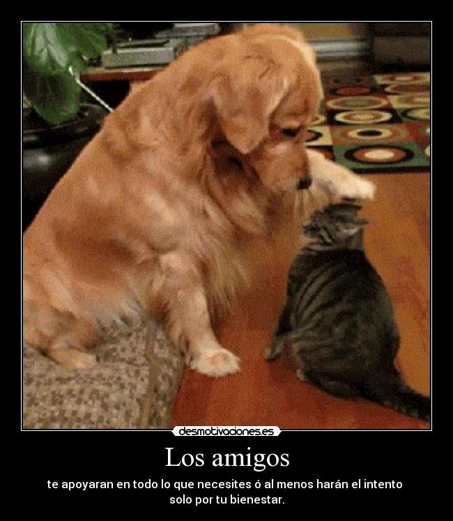 Los amigos -