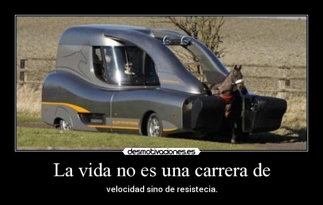 La vida no es una carrera de - velocidad sino de resistecia.
