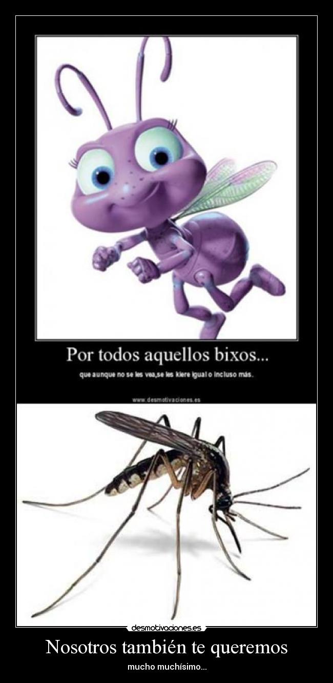 Nosotros también te queremos - mucho muchísimo...