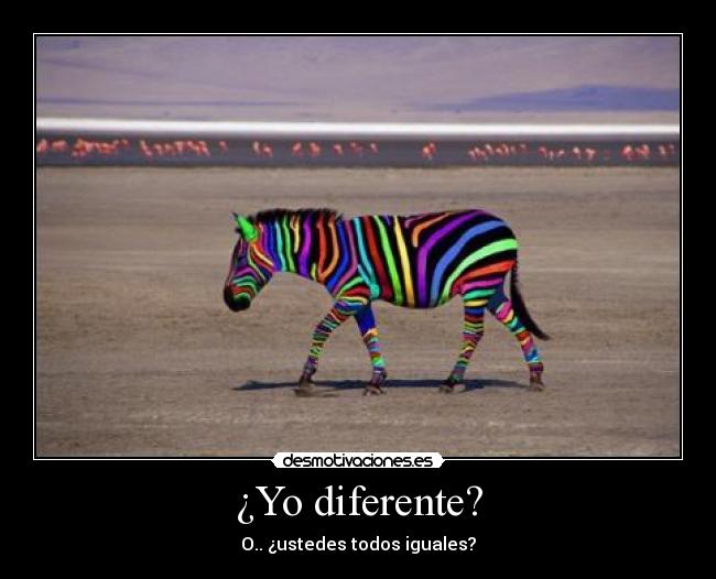 ¿Yo diferente? - O.. ¿ustedes todos iguales?