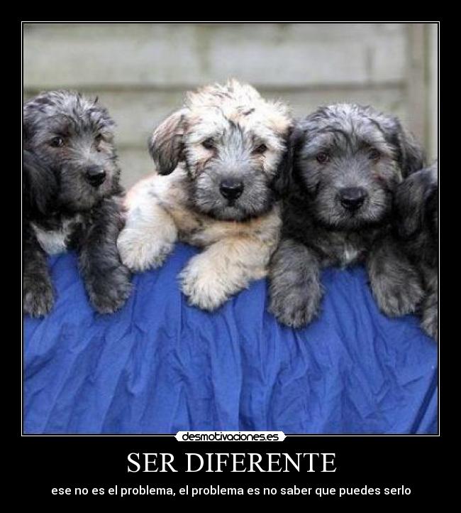 SER DIFERENTE - ese no es el problema, el problema es no saber que puedes serlo