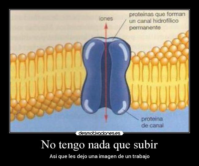 No tengo nada que subir - Asi que les dejo una imagen de un trabajo