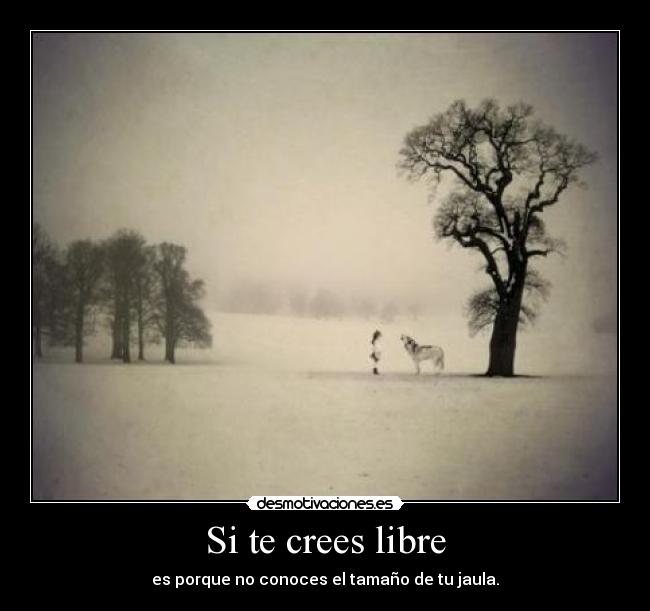 Si te crees libre - es porque no conoces el tamaño de tu jaula.