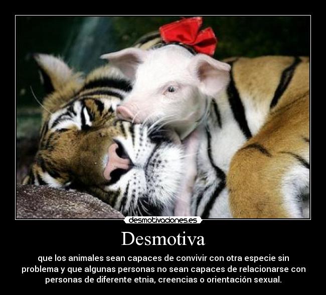 Desmotiva - que los animales sean capaces de convivir con otra especie sin
problema y que algunas personas no sean capaces de relacionarse con
personas de diferente etnia, creencias o orientación sexual.