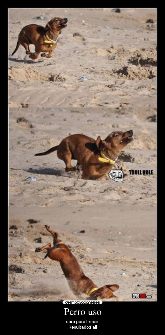 Perro uso - cara para frenar
Resultado:Fail