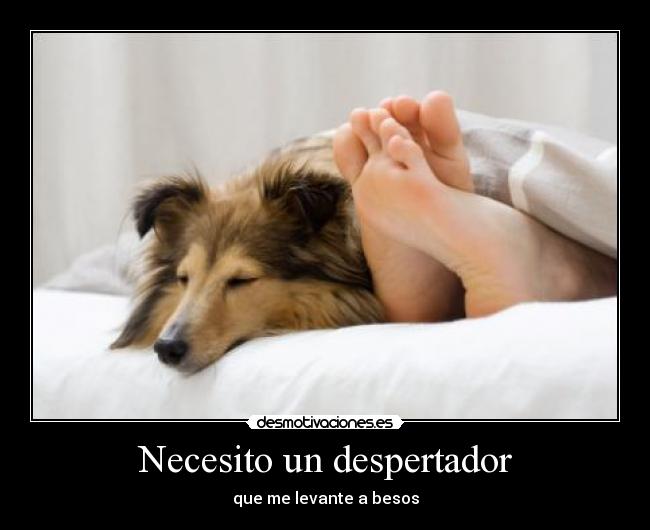 Necesito un despertador -