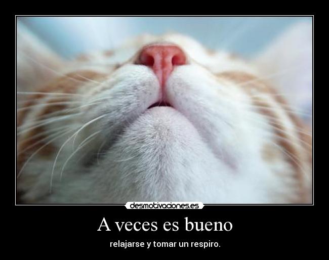 carteles redmoon96 rojoo desmotivaciones