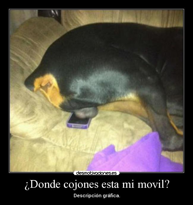 ¿Donde cojones esta mi movil? -