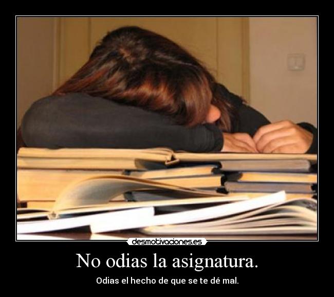 No odias la asignatura. - 