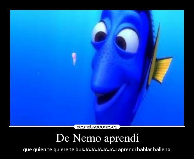 De Nemo aprendí - 