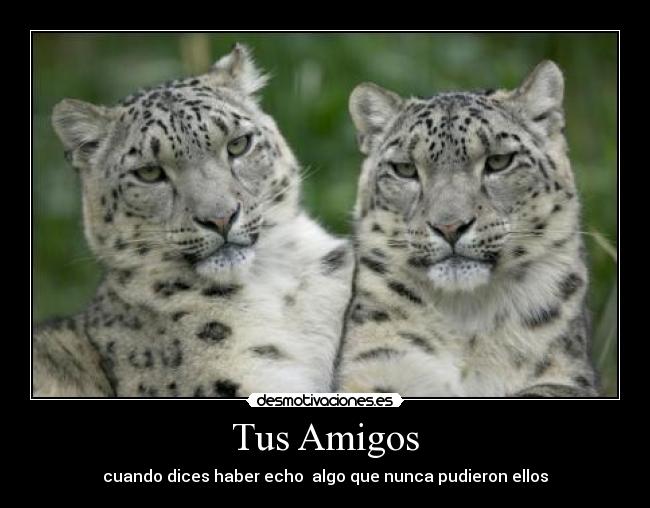 carteles amigos para todos desmotivaciones